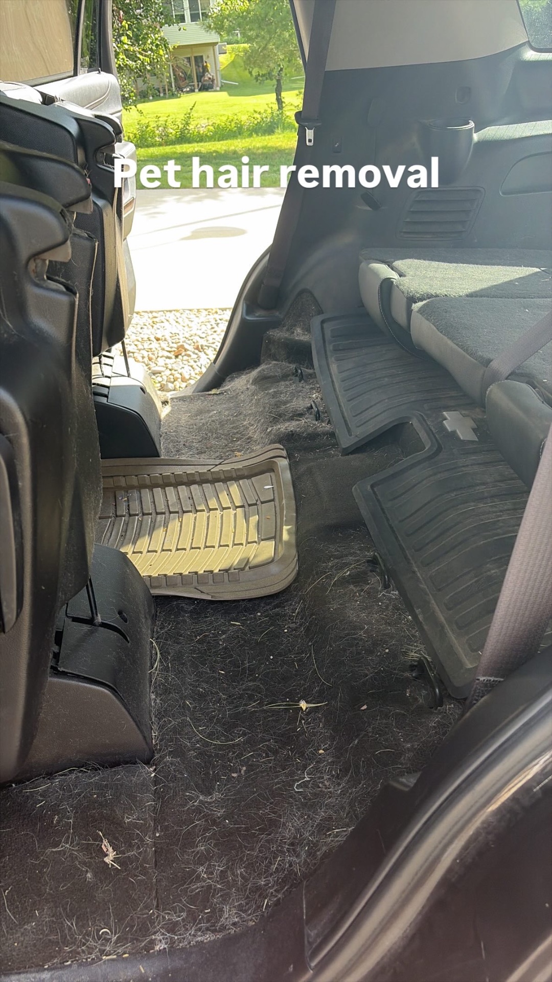 SUV Pet Hair Removal — before