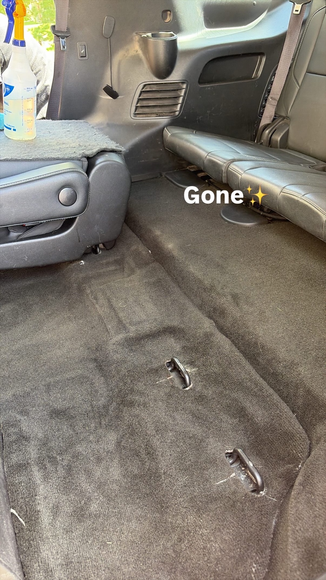 SUV Pet Hair Removal — after