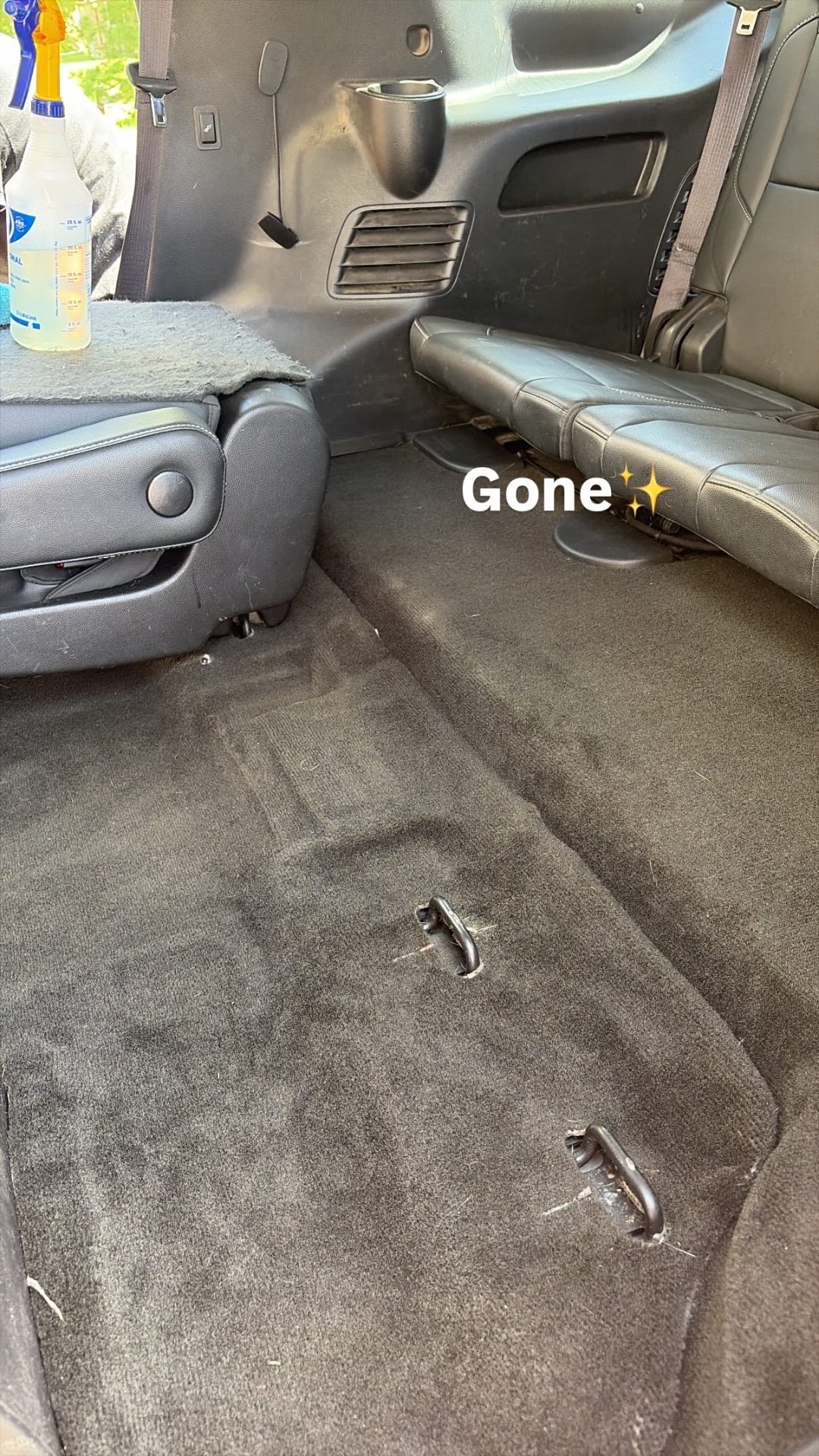 Pet Hair After after detailing by Street Standard Detailing in the Des Moines metro