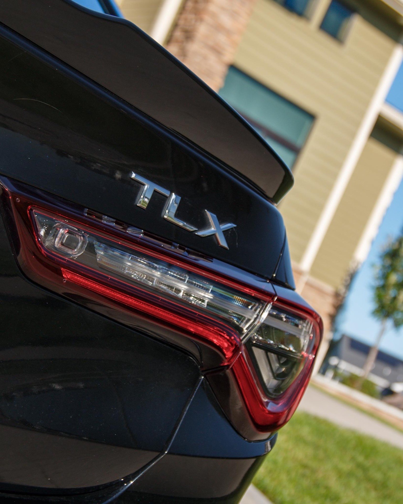Acura TLX badge, spoiler and taillight detail